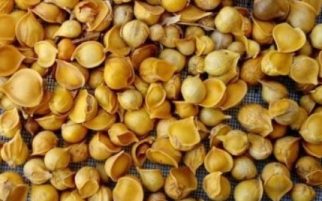 Ingredients sonus zen Himalayan Garlic